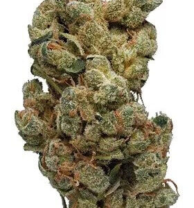 Turbo Diesel Cannabis Strain