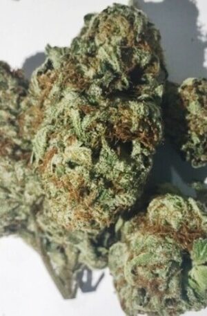 Viper City OG Marijuana UK